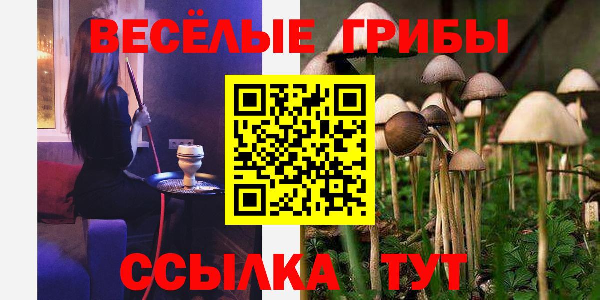 Ликино-Дулёво  Псилоцибиновые грибы GOLDEN TEACHER  Псилоцибиновые грибы Cubensis  Вход с VPN 