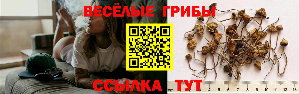 Галлюциногенные грибы мухоморы Ликино-Дулёво